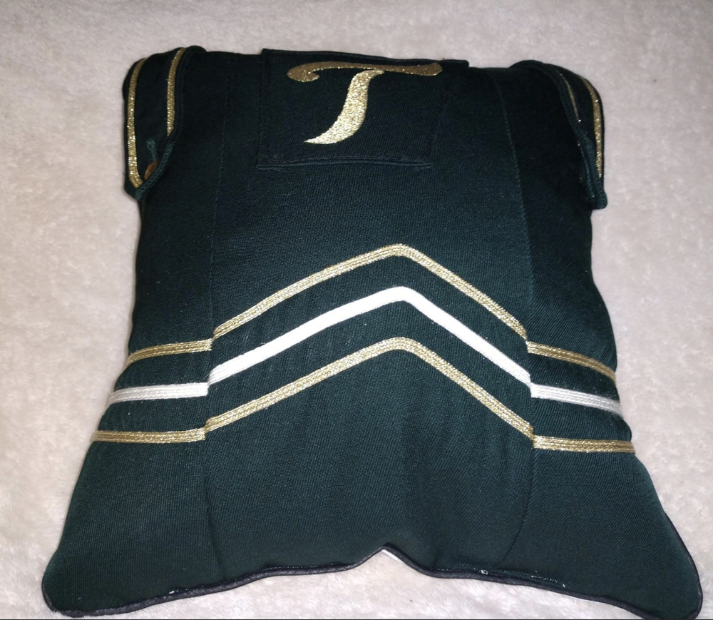 Photo of one of the band pillows